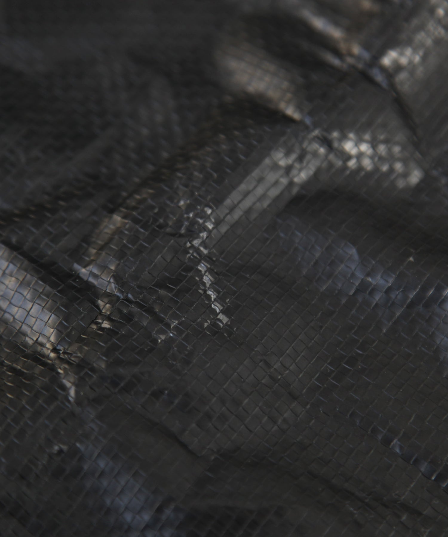 おしゃれ おすすめ ポリプロピレン キャリー エコバッグ 小型 手持ち