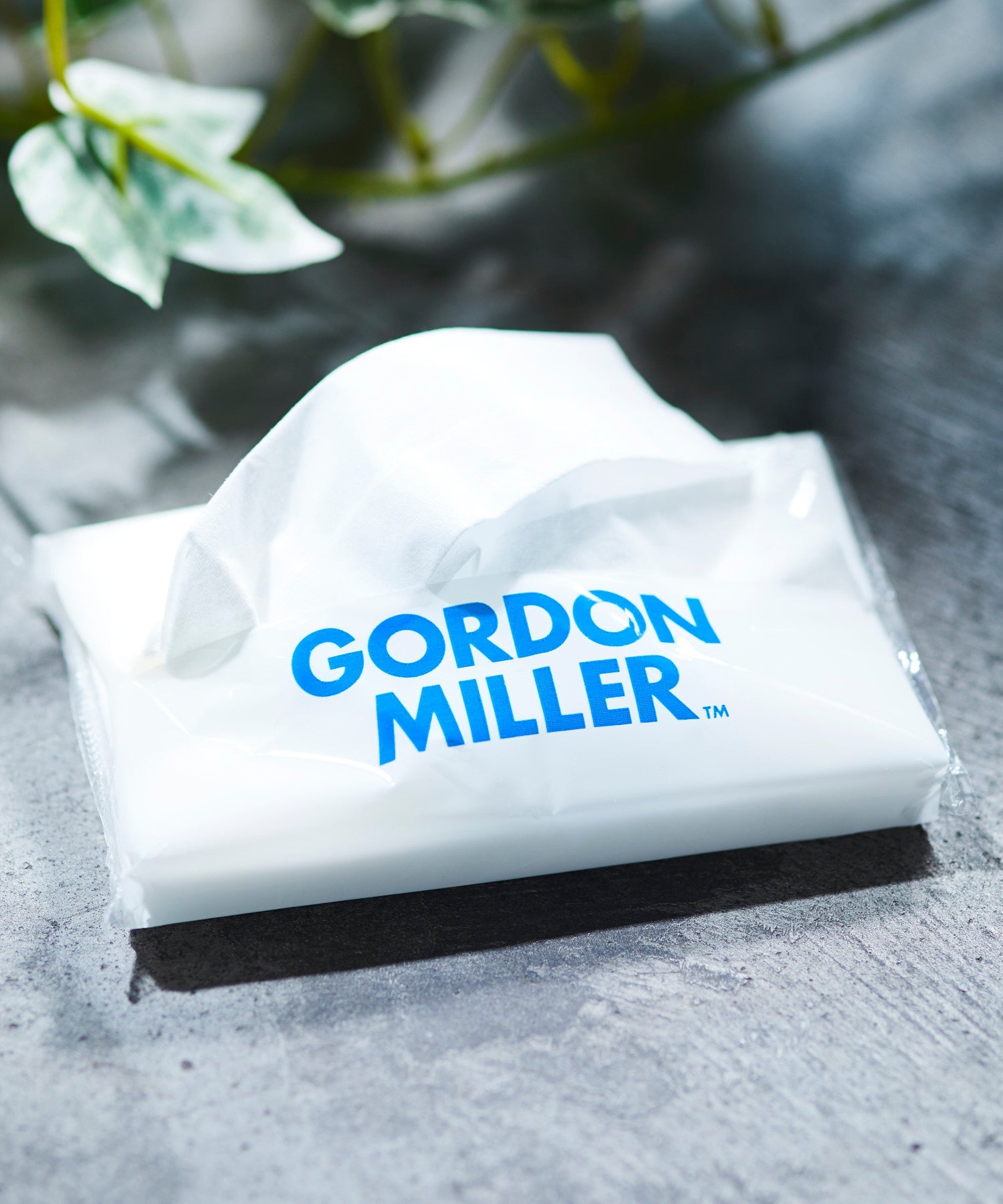 ポケットティッシュ 15個パック – GORDON MILLER