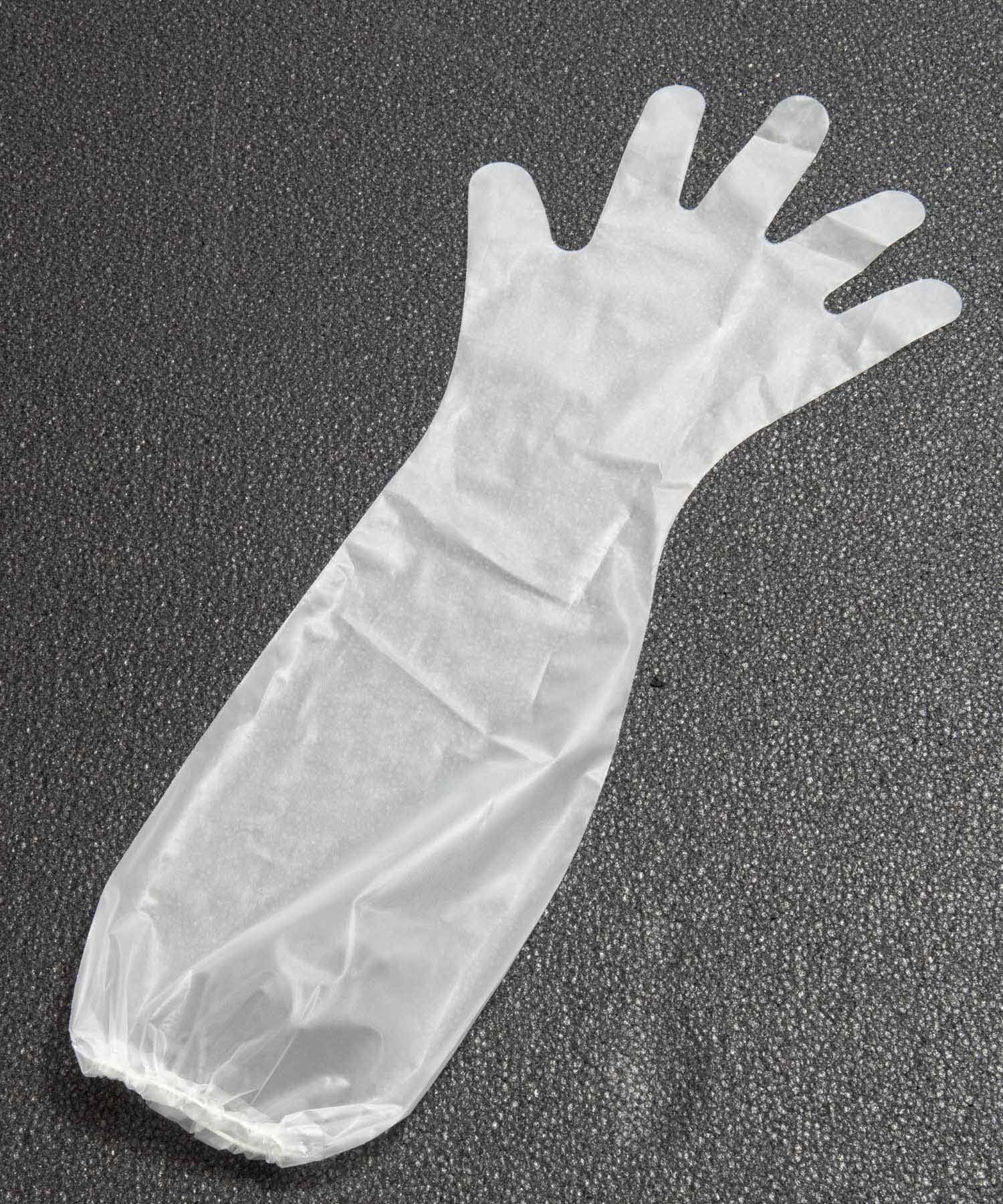 ロンググローブ クリア – GORDON MILLER